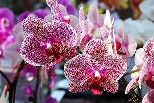 Nhiều tuyến đường ở TP Huế ngập sâu, người dân bì bõm trong nước lũ -0